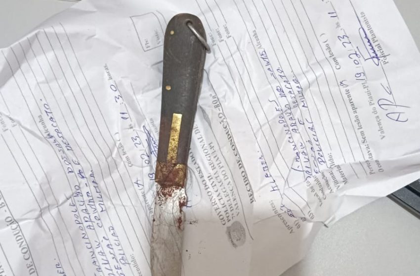  Feminicídio: homem é preso suspeito de matar companheira a facadas em Inhuma