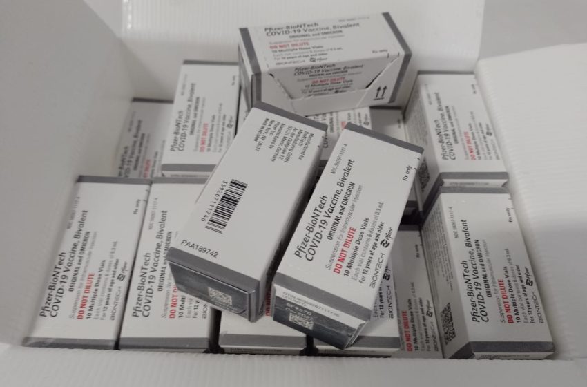  Piauí recebe primeiras doses de vacinas bivalentes contra Covid-19