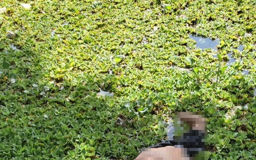  Homem é encontrado morto em lagoa da Zona Norte de Teresina