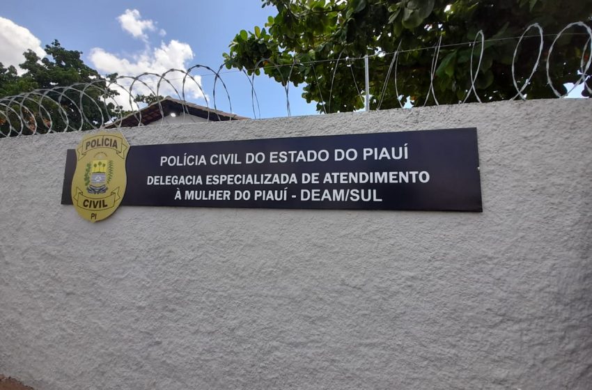  Delegacias da Mulher vão funcionar 24 horas no Piauí após aprovação de lei federal