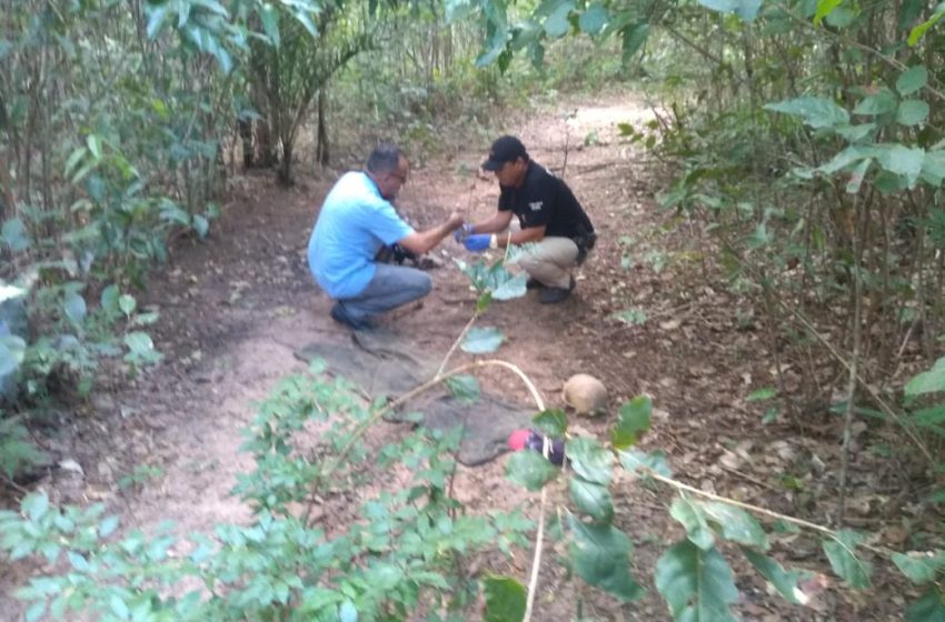  Ossada humana é encontrada em matagal na região da Santa Maria da Codipi