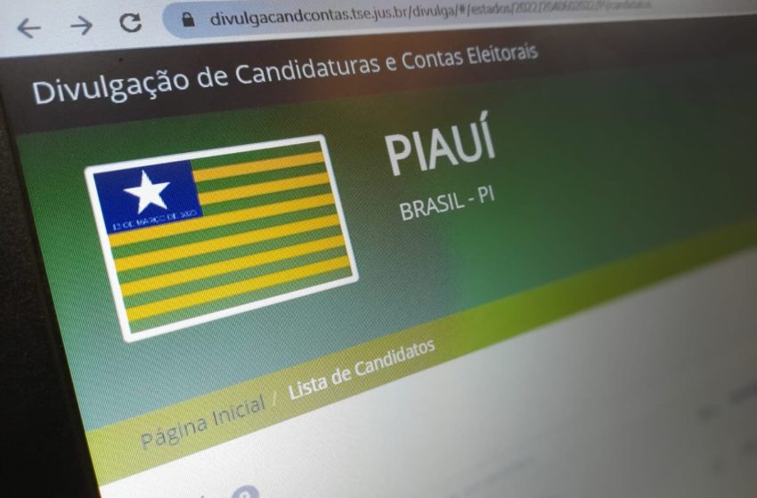  Piauí possui quase 300 mil eleitores filiados a partidos políticos