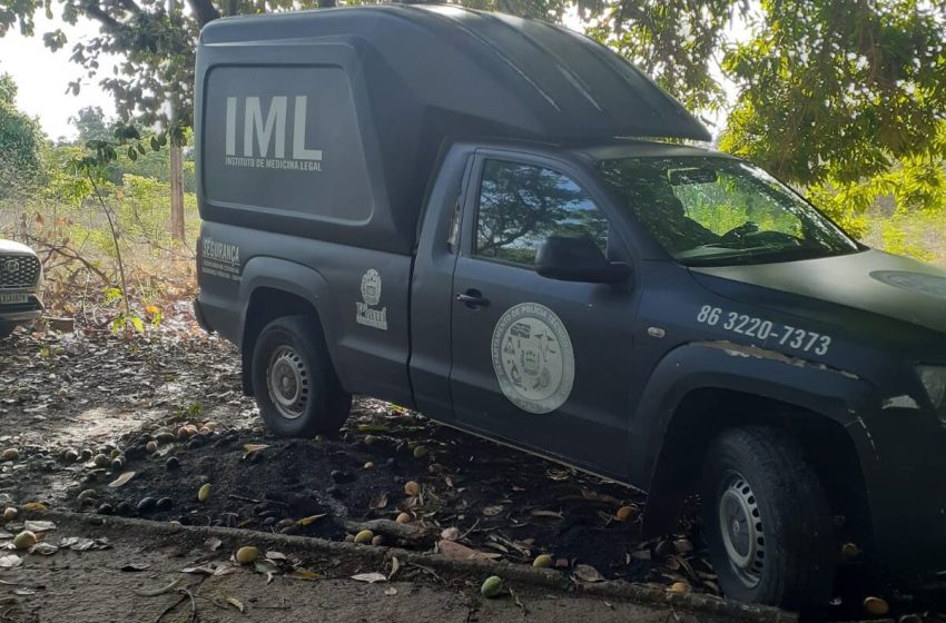  Corpo em estado avançado de decomposição é encontrado em matagal no Litoral do Piauí