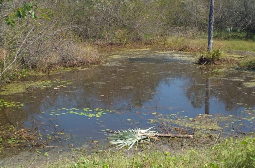  Mãe que teria deixado bebê morta em açude no Piauí é identificada