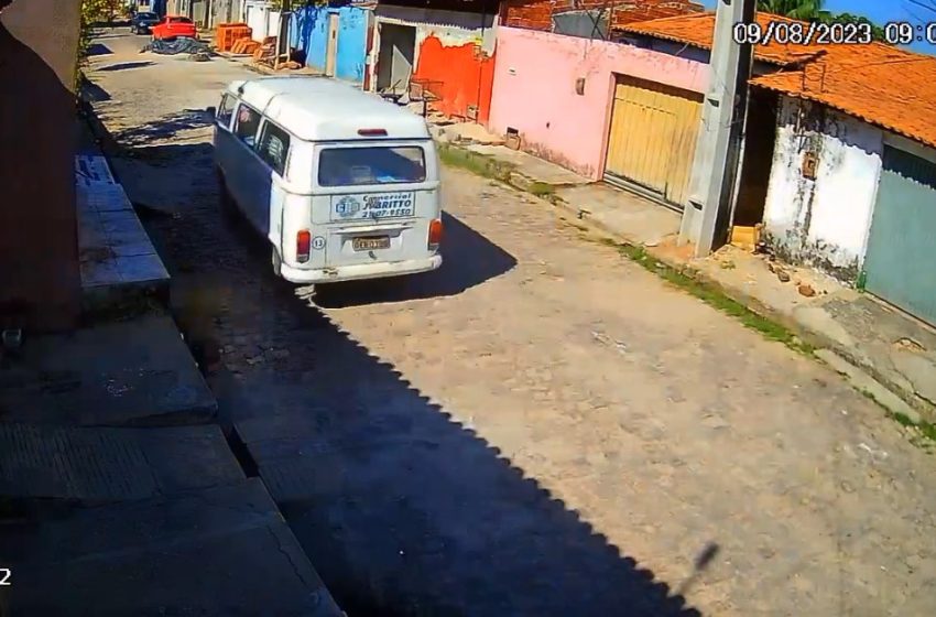  Cachorro morre após ser atropelado por kombi de loja na zona Sudeste de Teresina