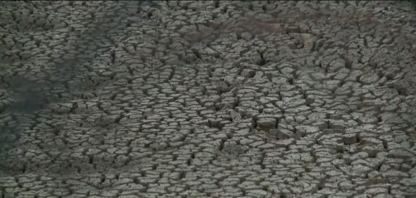  Quase cem municípios do Piauí declaram situação de emergência devido à seca