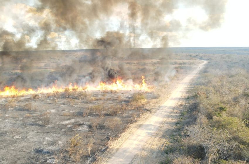  Mais de 500 mil hectares de terras piauienses foram destruídas por incêndios em setembro
