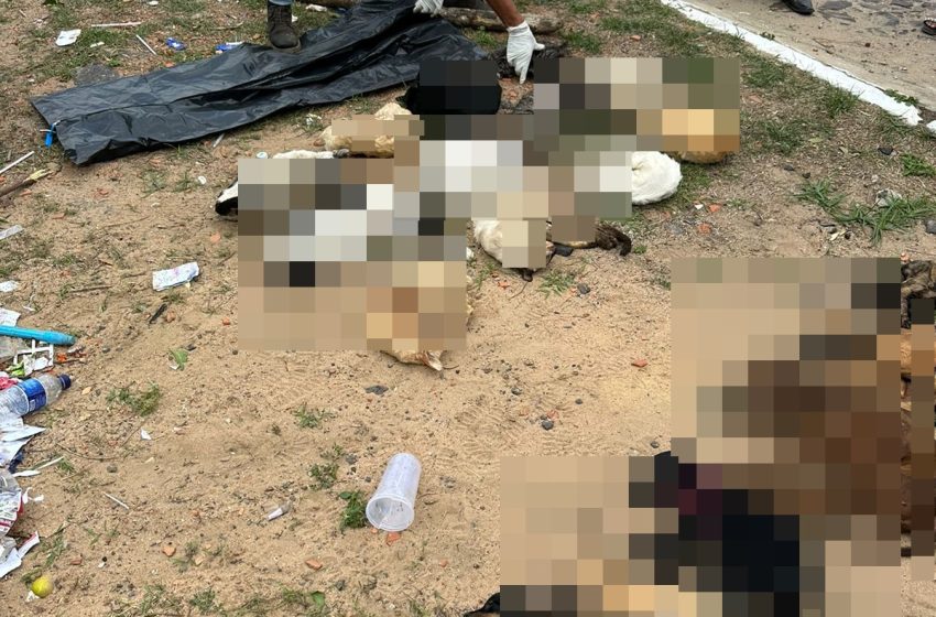  Tutores identificam corpos de animais encontrados em sacolas em Parnaíba
