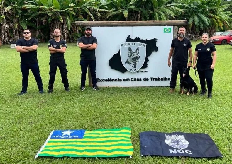  Polícia Civil adquire cão para atuar no combate ao tráfico de drogas no Sul do Piauí