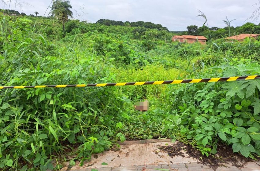  Corpo de jovem é encontrado em matagal com marcas de tiros na zona Leste de Teresina