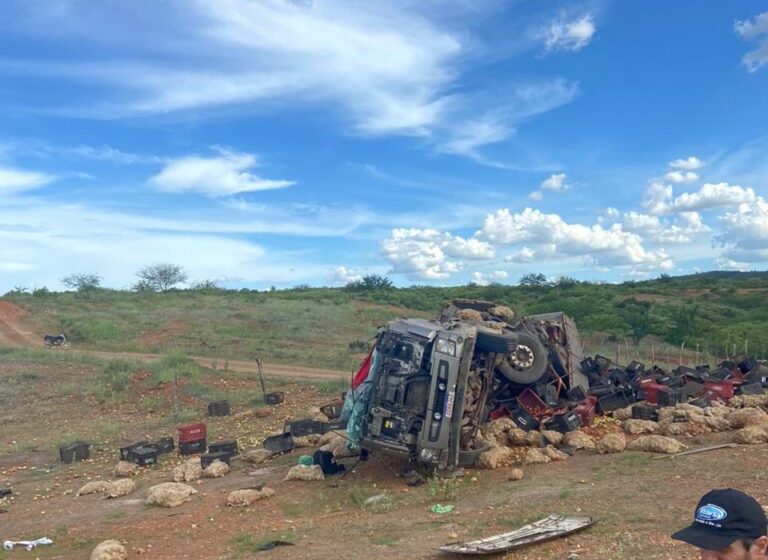  Motorista de caminhão carregado de batatas morre em acidente na BR-407