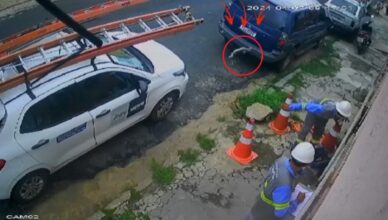  Vídeo: funcionário da Equatorial arremessa filhote de gato sobre o carro