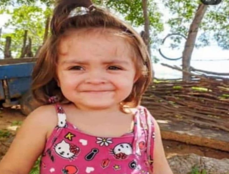  Menina de 1 ano e 7 meses morre afogada em barreiro no quintal de casa no Piauí