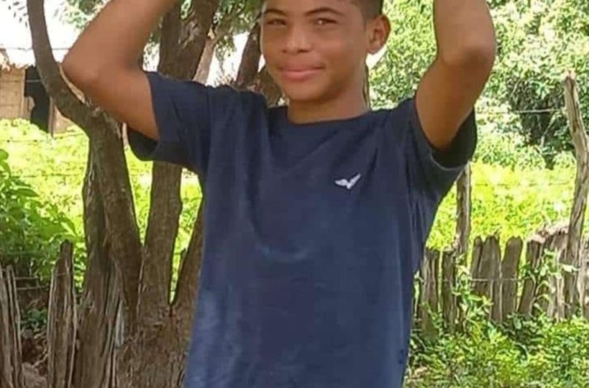  Estudante de 12 anos morre após ser atropelado por van escolar em Joaquim Pires