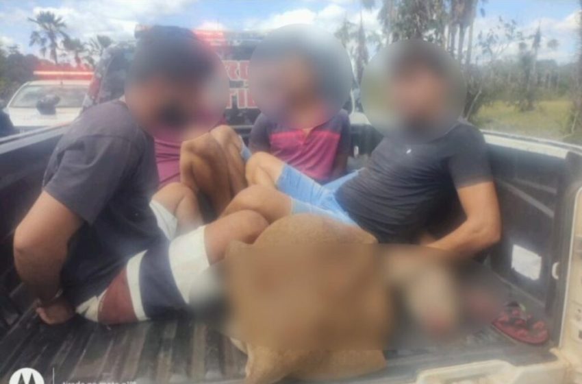  Suspeitos de furtar e matar animal na zona rural de Campo Maior são presos