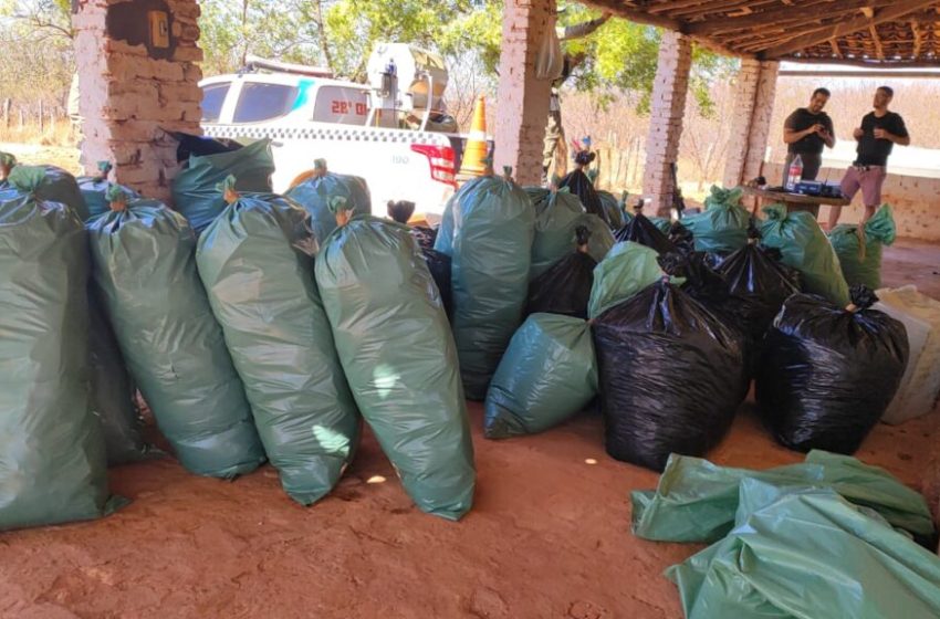  Sete homens são presos após depósito de drogas ser desarticulado no Piauí