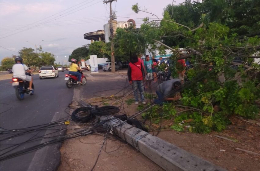  Ciclista é atingido por poste derrubado por caminhão na BR-316