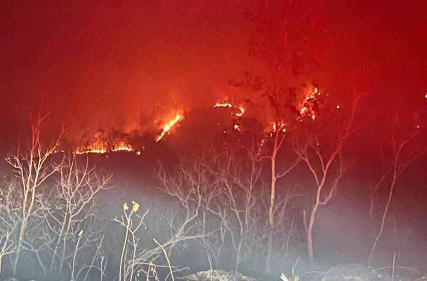  Polícia investiga se incêndio que matou dois brigadistas foi criminoso no Piauí