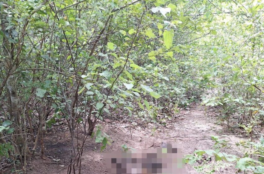 Corpo em avançado estado de decomposição é encontrado na zona rural de Cocal