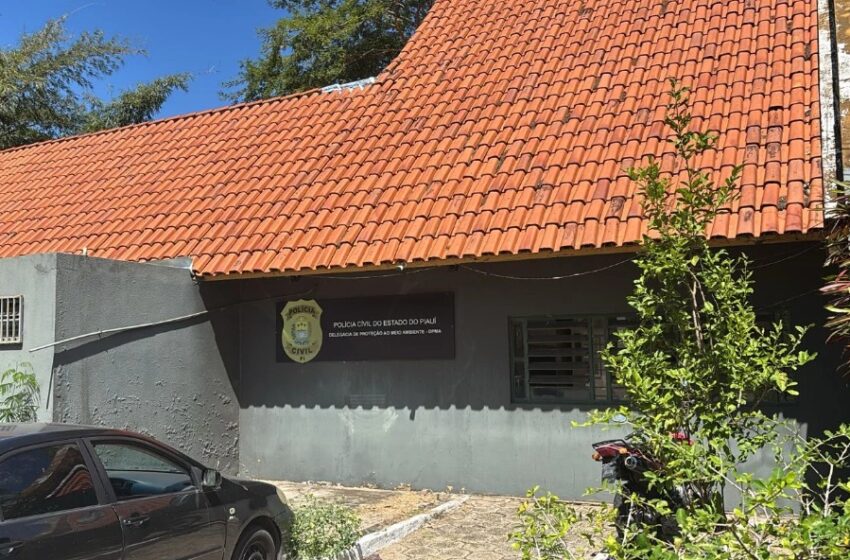 Tutora gritou e mandou pedreiro soltar cadela ao flagrar estupro pelas câmeras, diz delegada