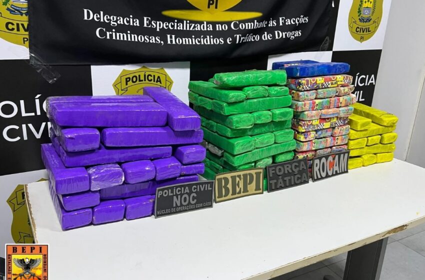 Homem é preso com 100 tabletes de maconha durante operação em Picos