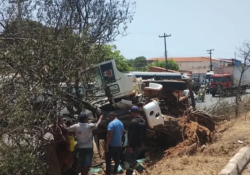 Motorista fica ferido após perder controle de caminhão e colidir com árvore na BR-316, em Teresina