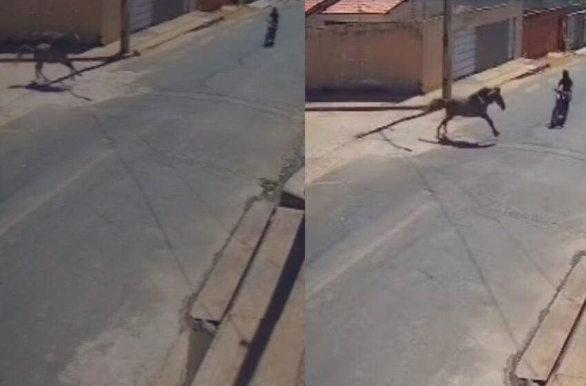  Vídeo: jovem de 23 anos morre após colisão contra cavalo em Floriano