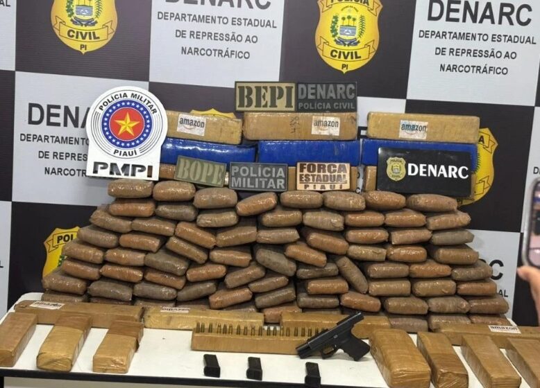  Carga de mais de uma tonelada de droga em sítio no Maranhão tinha o Piauí como destino, diz delegado