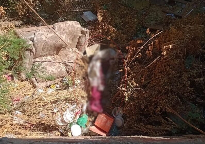  Corpo é encontrado enrolado em rede e panos na cidade de Picos